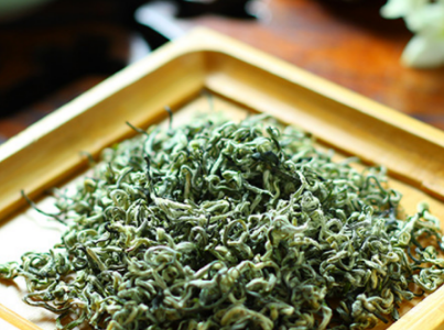 信阳毛尖是红茶吗